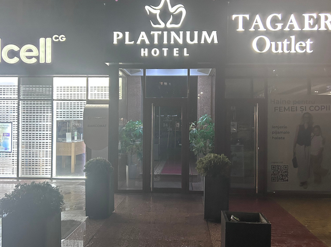 白金酒店主图