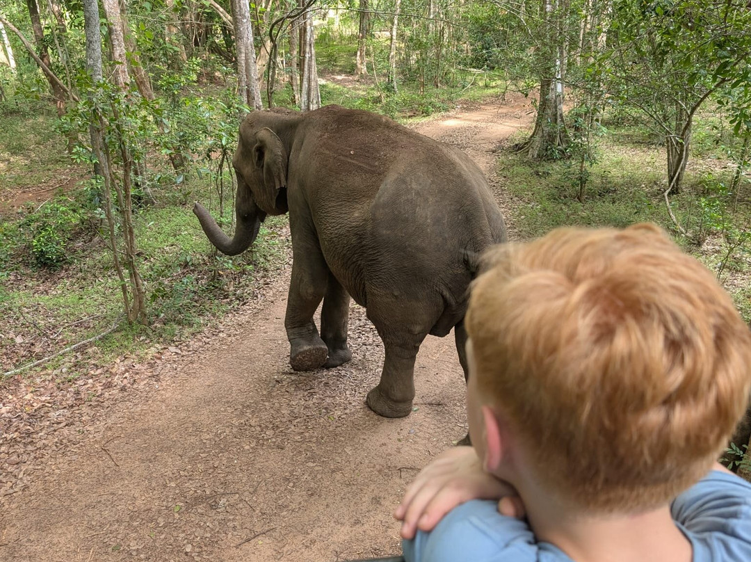 Sri Lanka Driver Tours-Yatiyana必去景点