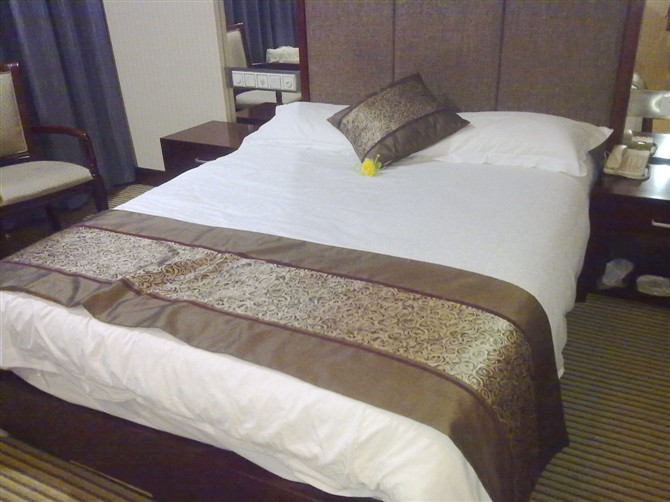 凯悦大酒店-客卧