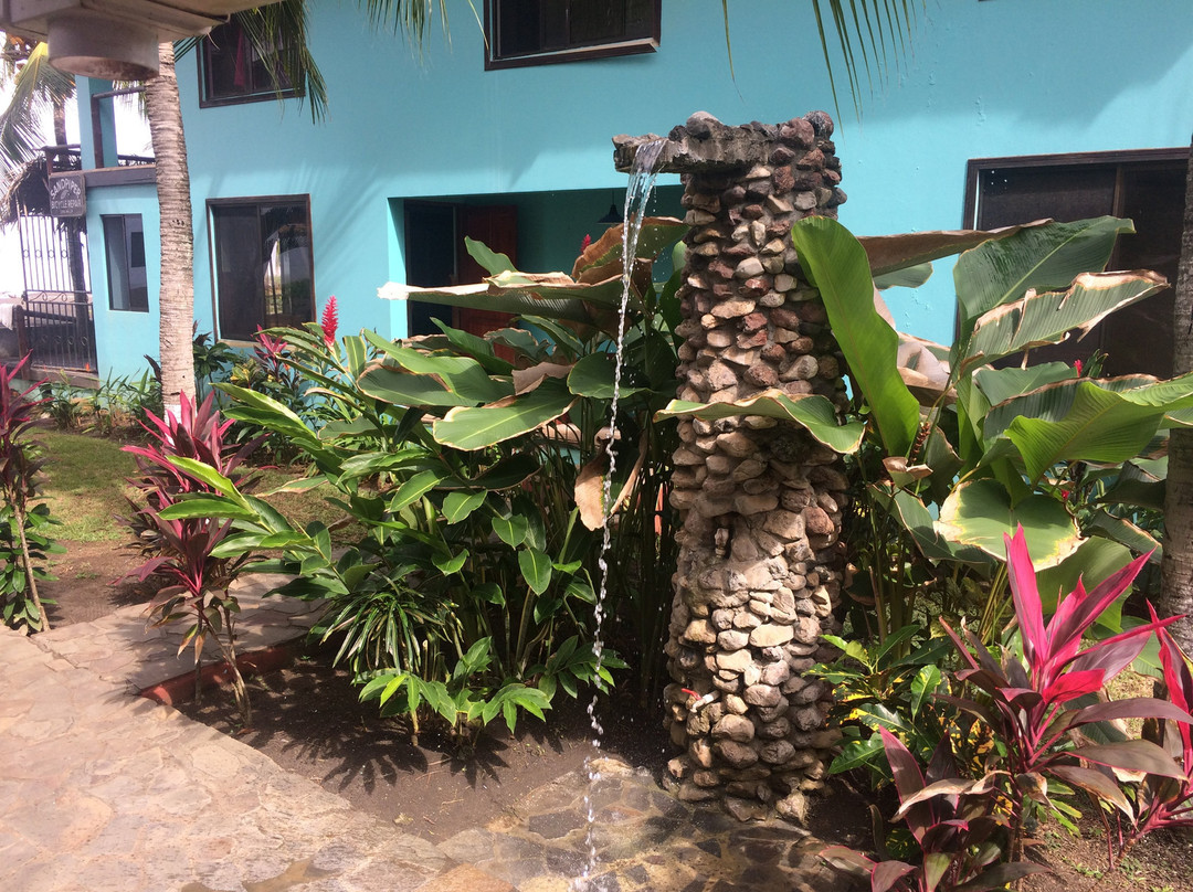 Playa Hermosa旅游攻略图片