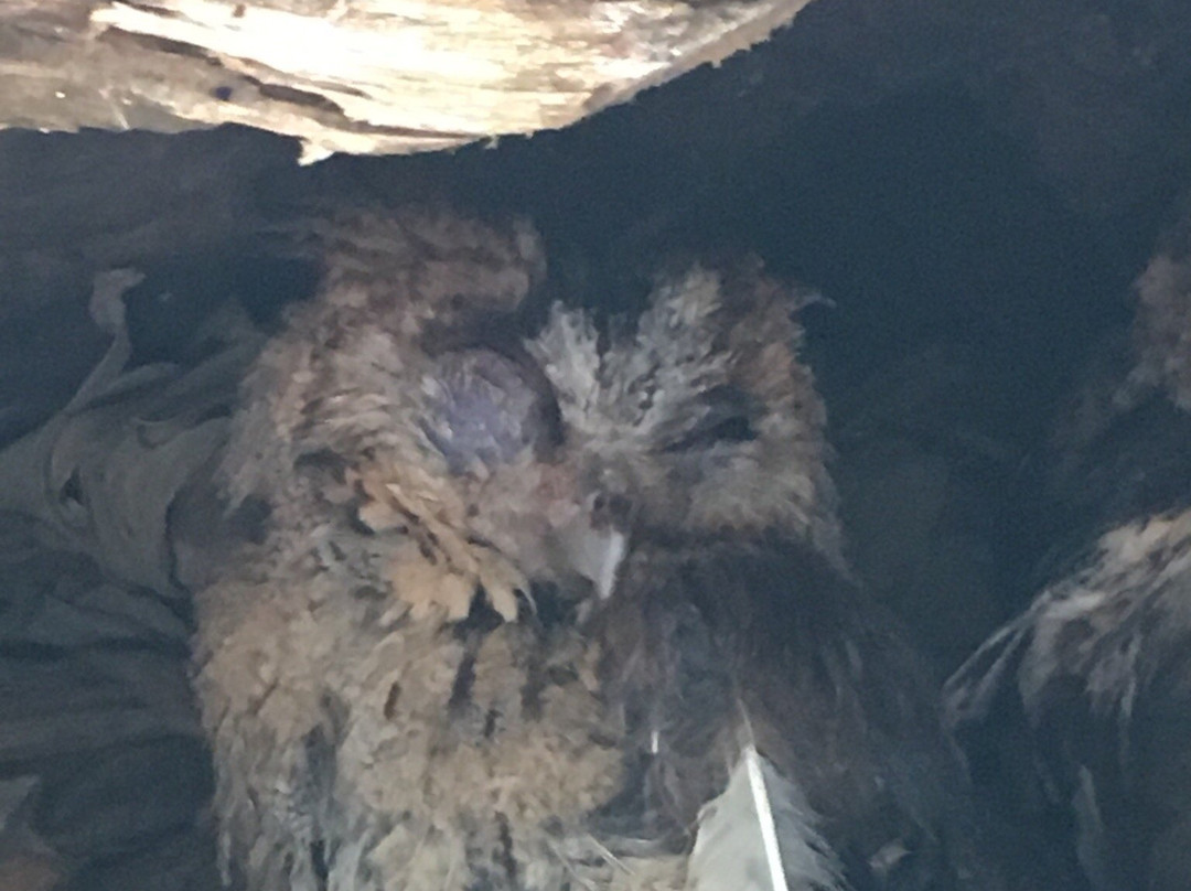 莱阳河国家森林公园-普洱市必去景点