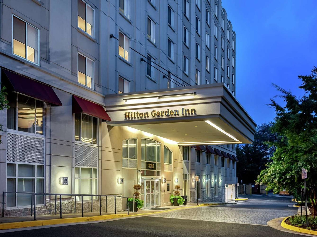 泰森斯角希尔顿花园旅馆主图