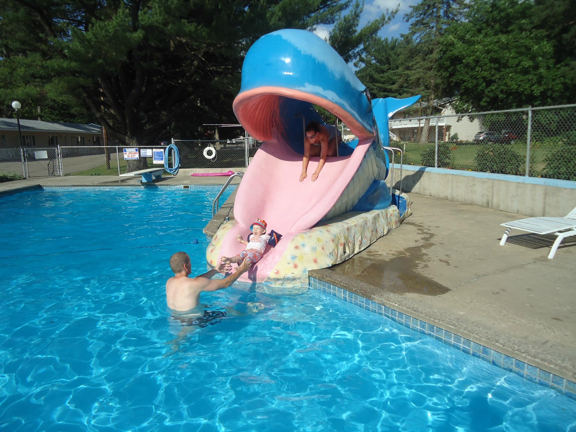 Lakeside Motel Wisconsin Dells-泳池