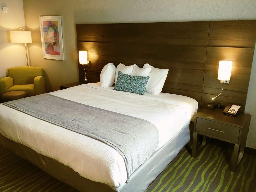 Best Western Plus Prien Lake Hotel & Suites - Lake Charles主图