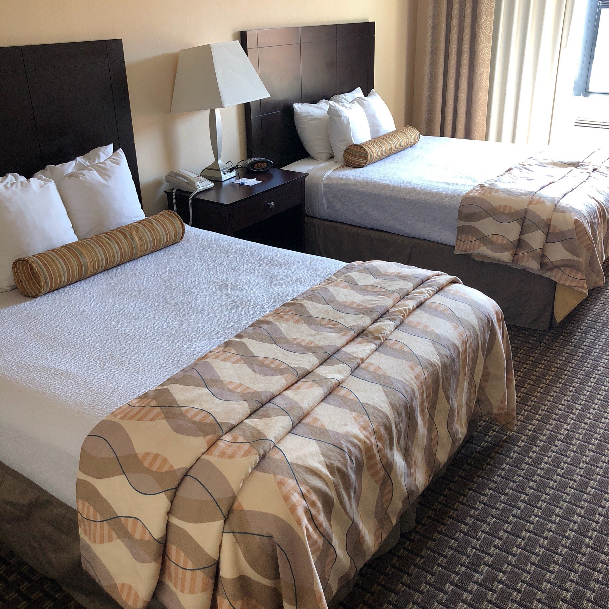 Best Western Plus Philadelphia Airport South At Widener University-官方