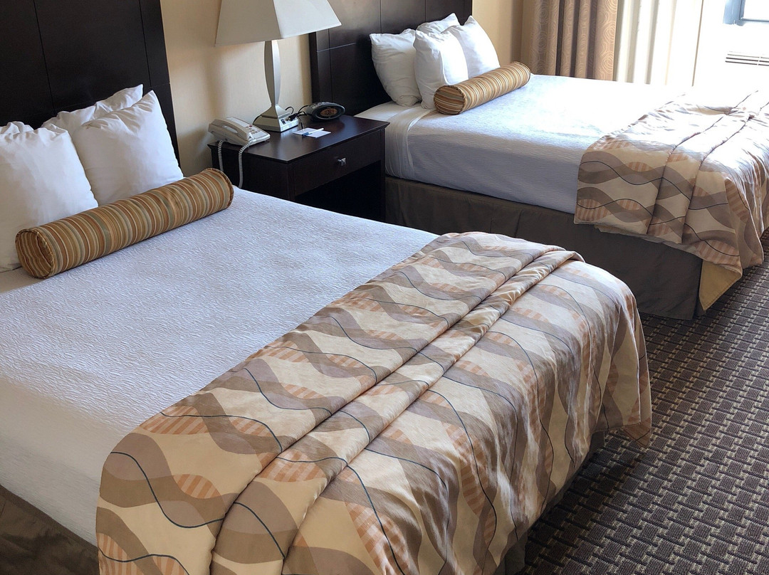 Best Western Plus Philadelphia Airport South At Widener University主图