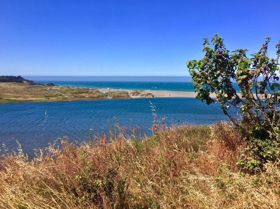 Gualala River景点图片