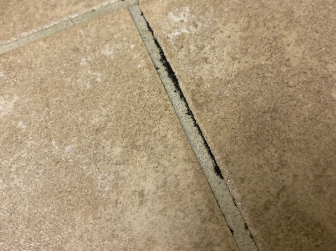 Express Inn Leesville Ft Johnson, SureStay Collection By Best Western主图