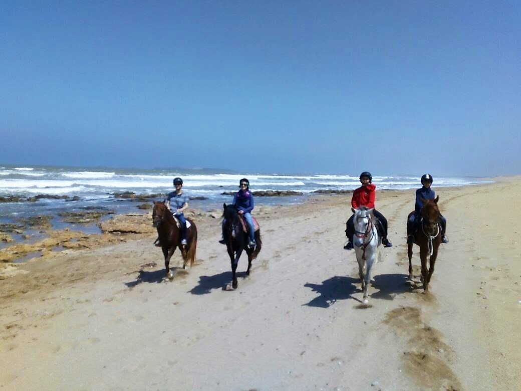 Cheval Essaouira-索维拉必去景点