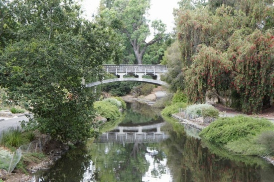 戴维斯大学植物园景点图片