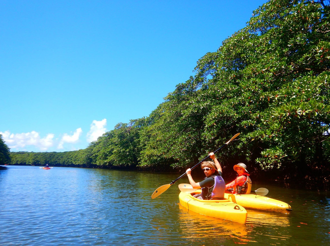 Iriomote Island Kayaks Kazaguruma景点图片