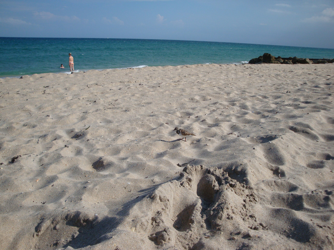 Mid-Town Municipal Beach景点图片