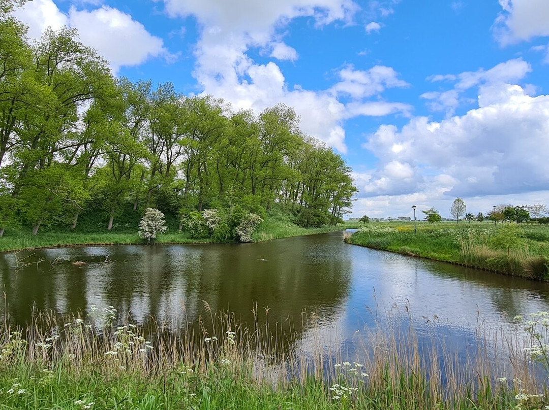 Wallen van Sluis