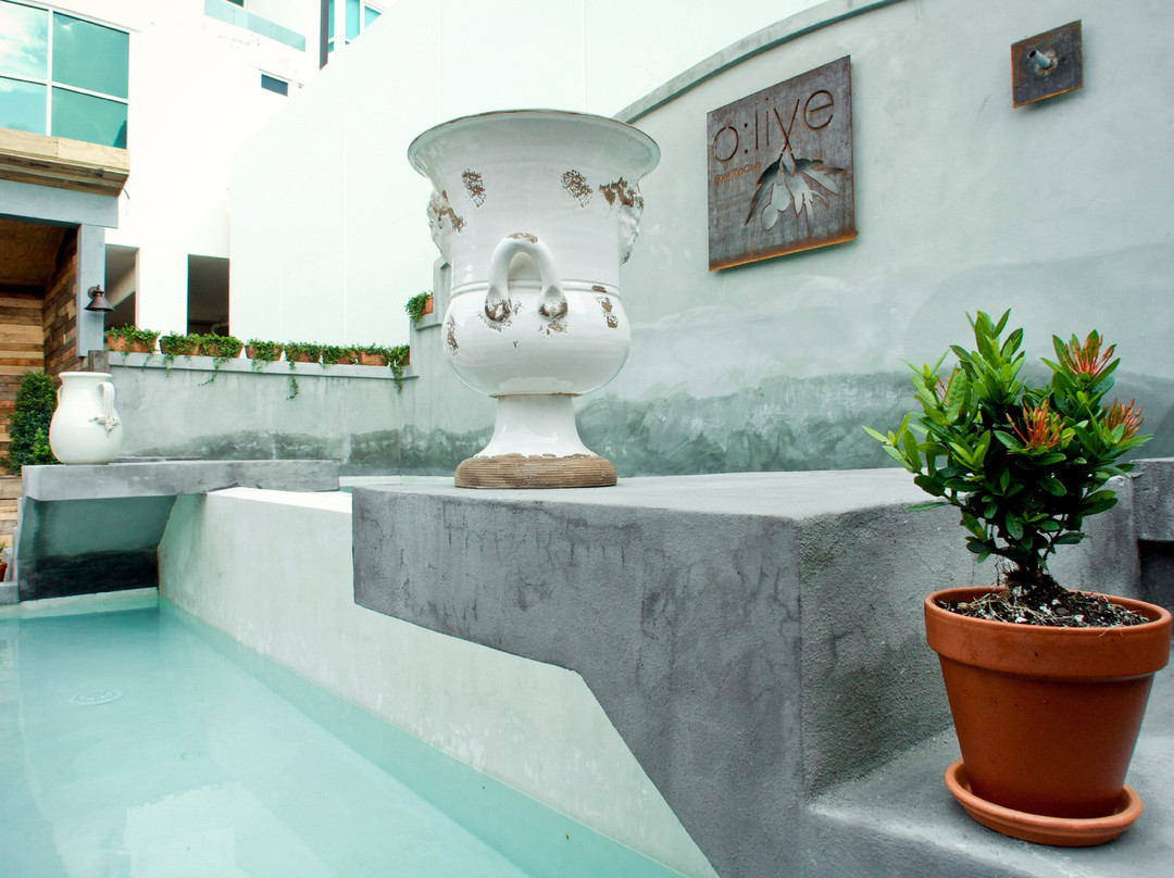 橄榄精品酒店主图