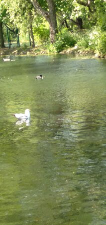 Locke Park-Redcar必去景点