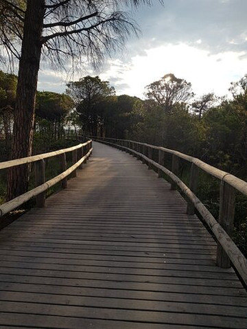 Bibione - Ciclabile del Tagliamento-Bibione必去景点