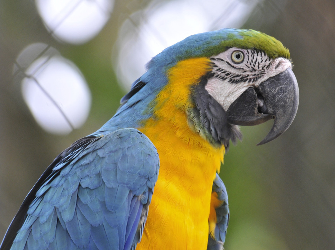 Zoo de Guyane-Macouria必去景点