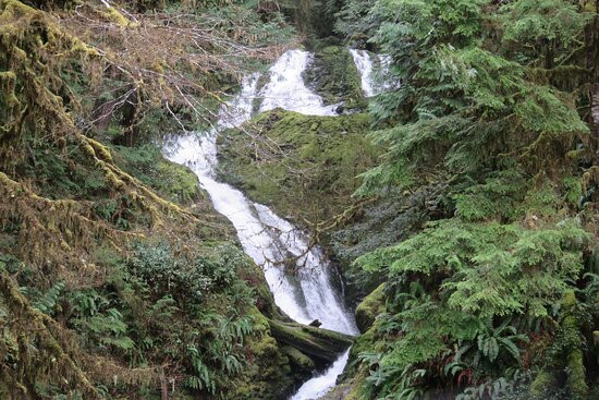 Bunch Creek Falls景点图片