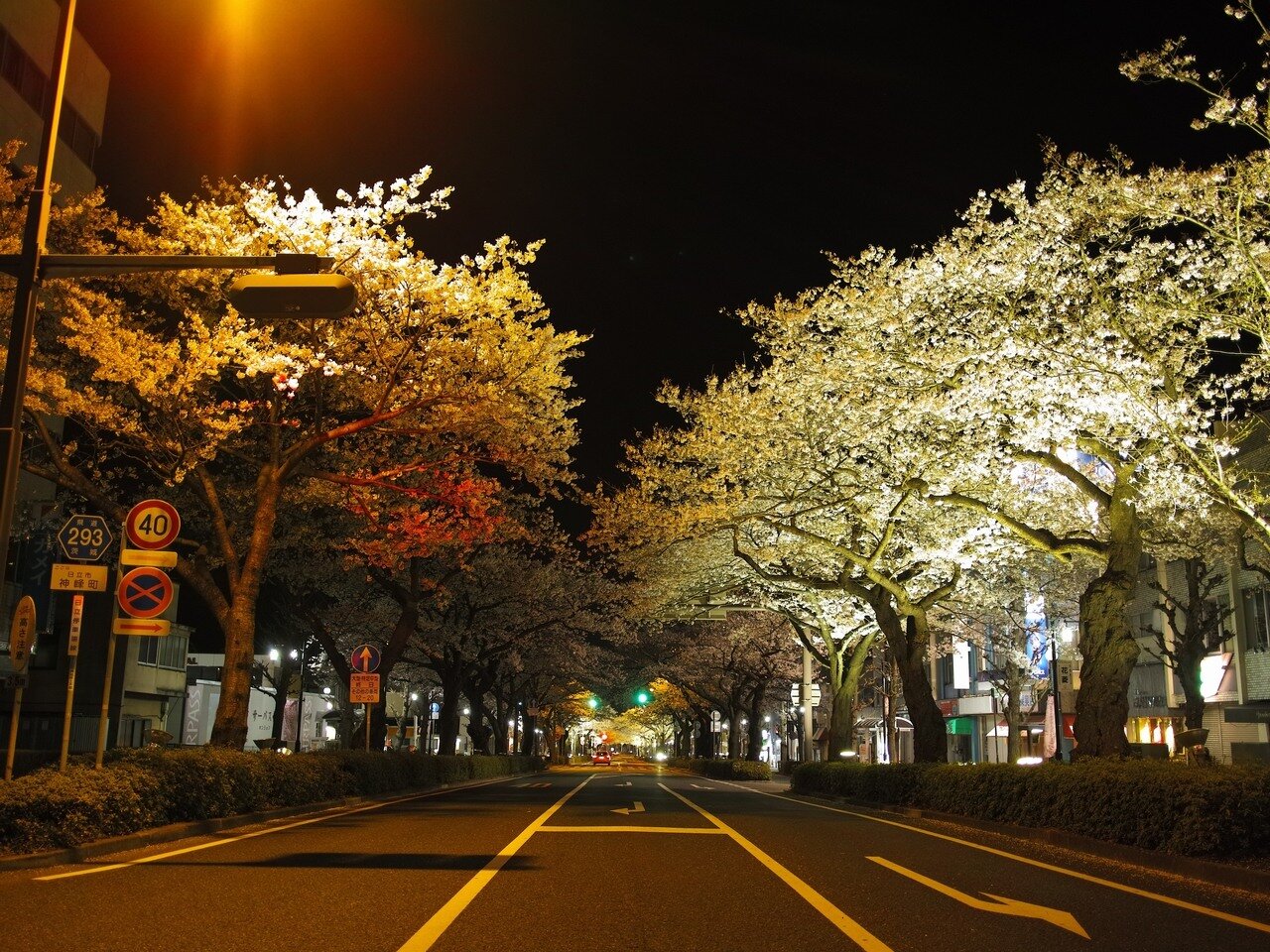 Tourist Hotel Hitachi-官方