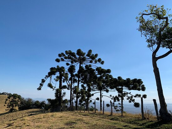 M'Guia-Maria da Fe必去景点