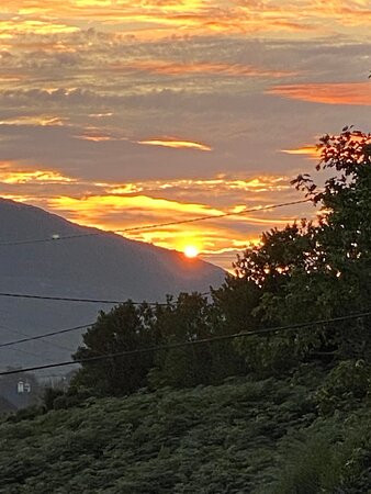 Cottage Heights主图