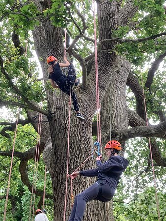 Goodleaf Tree Climbing-赖德必去景点