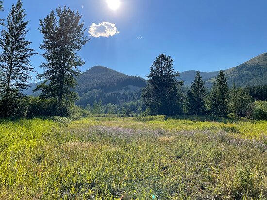 Bear Creek Guest Ranch-浴室