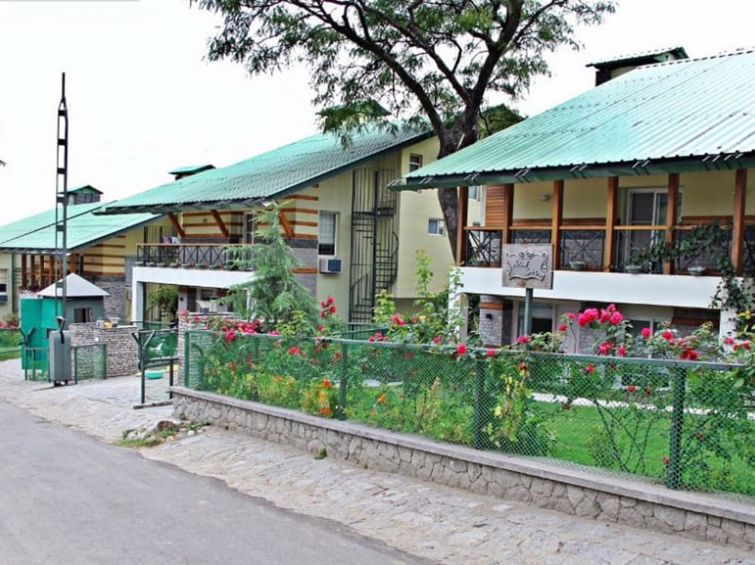 Lamrin Norwood Green Palampur主图