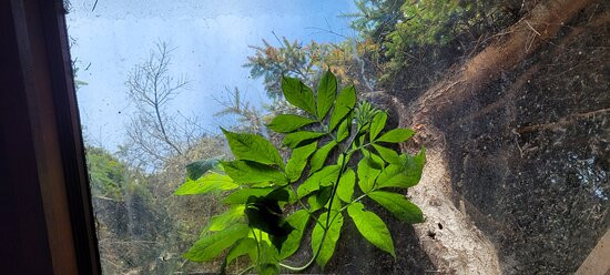 Howard Creek Ranch Inn主图