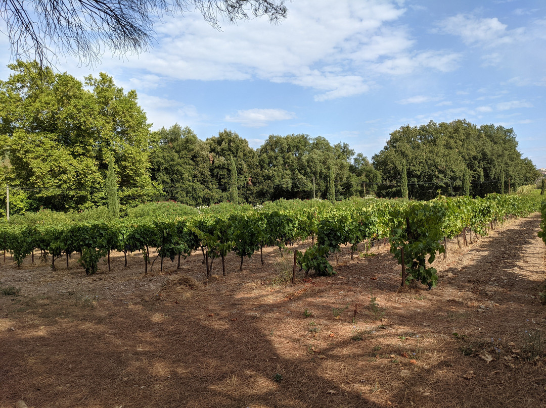 Domaine Du Pourret主图
