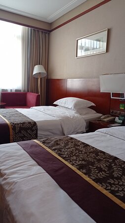 盛世花园大酒店-客卧