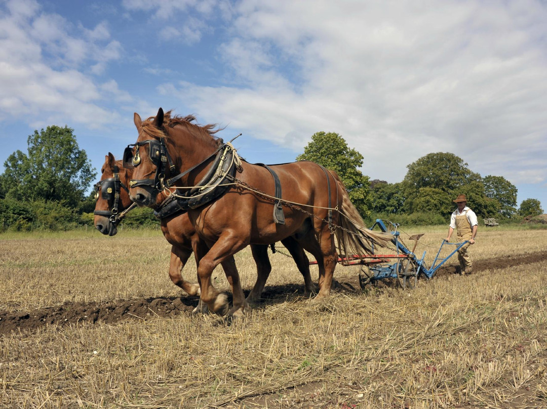 Gressenhall Farm And Workhouse-Dereham必去景点