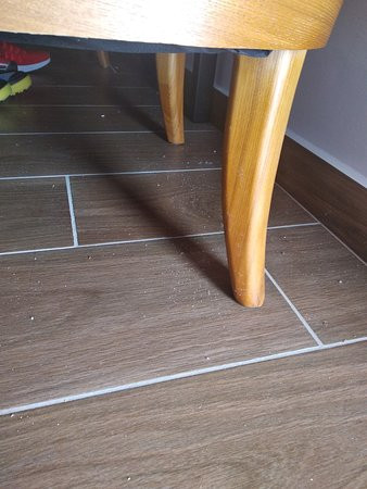 Effect Algara Beach主图