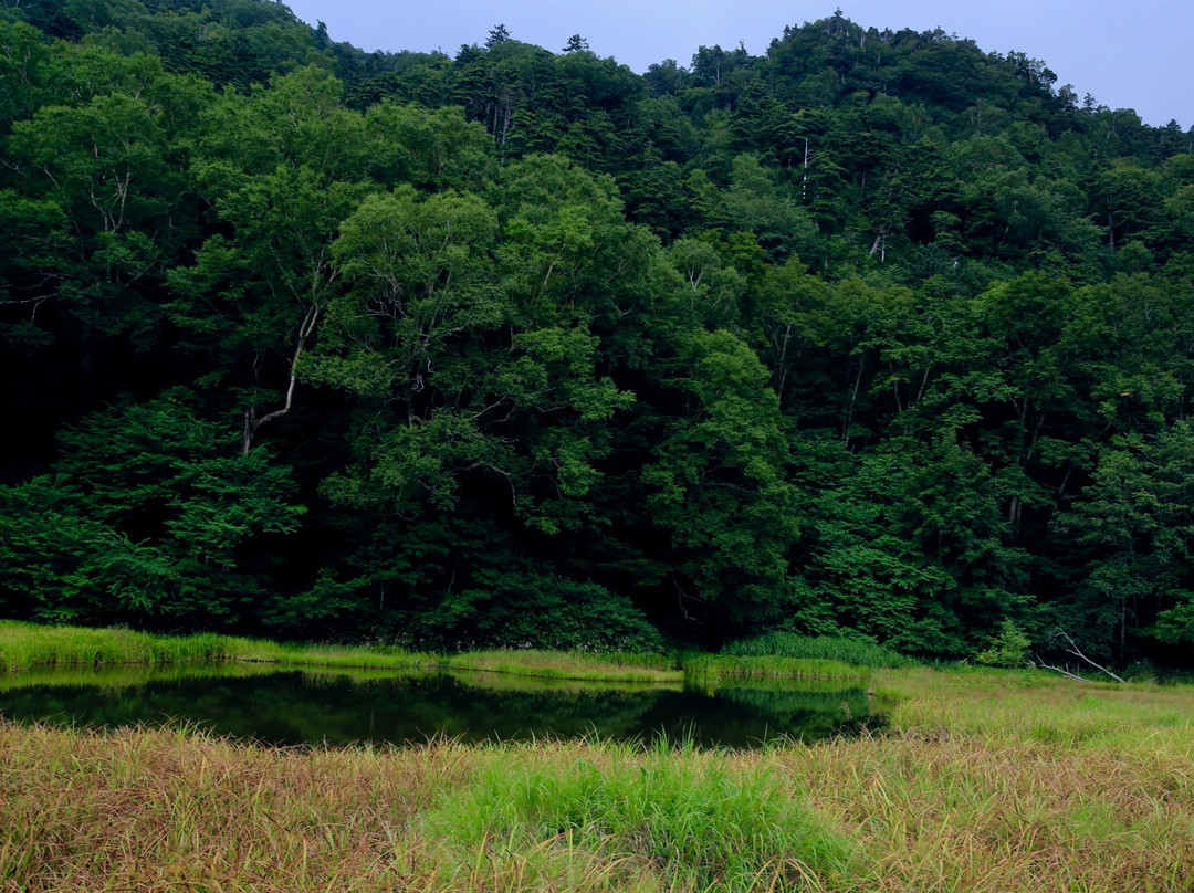 Tsurugaike Pond景点图片