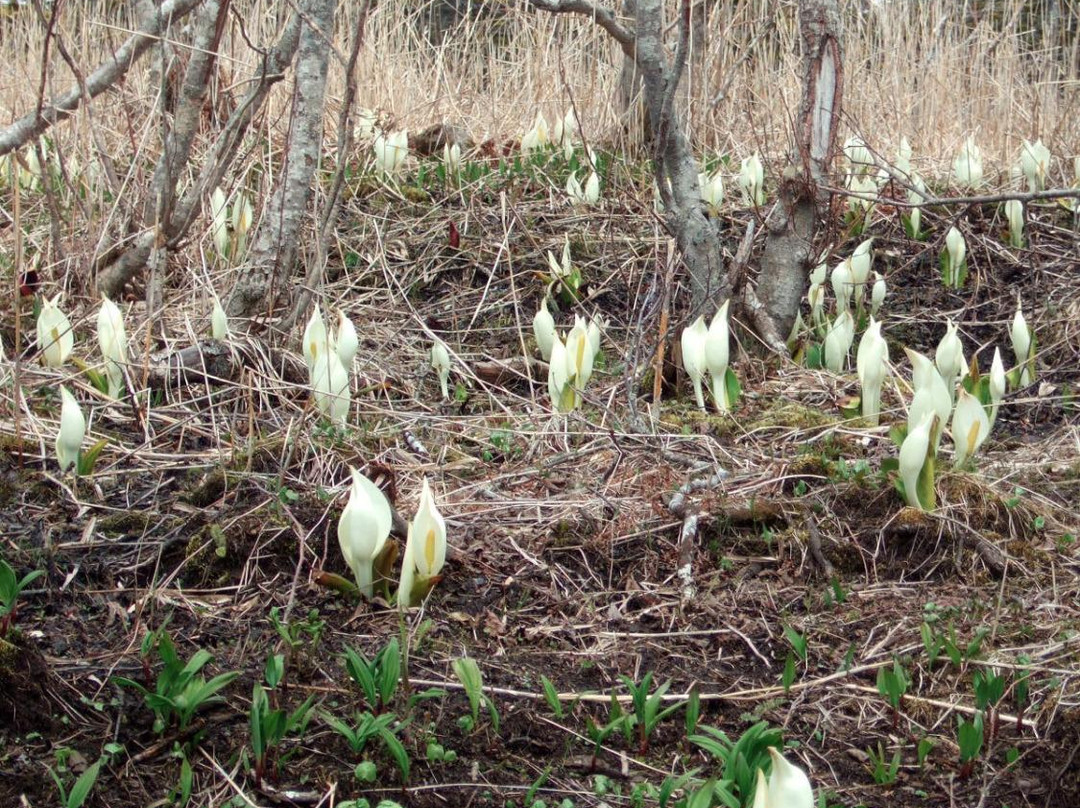 Ochiishi Seaside Way Hamamatsu Path