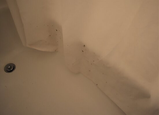 Residence Inn by Marriott Charleston Riverview主图