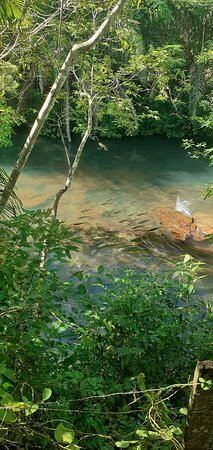 Jardim Ecopark-雅尔丁必去景点