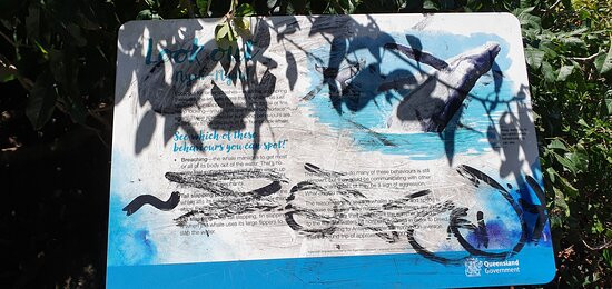 Tumgun Lookout-伯利角必去景点