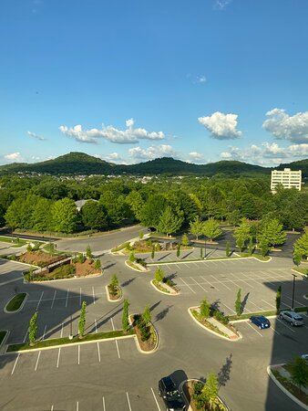 Hilton Franklin Cool Springs-酒店景观