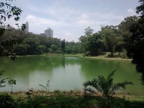 Parque da Aclimação-圣保罗必去景点