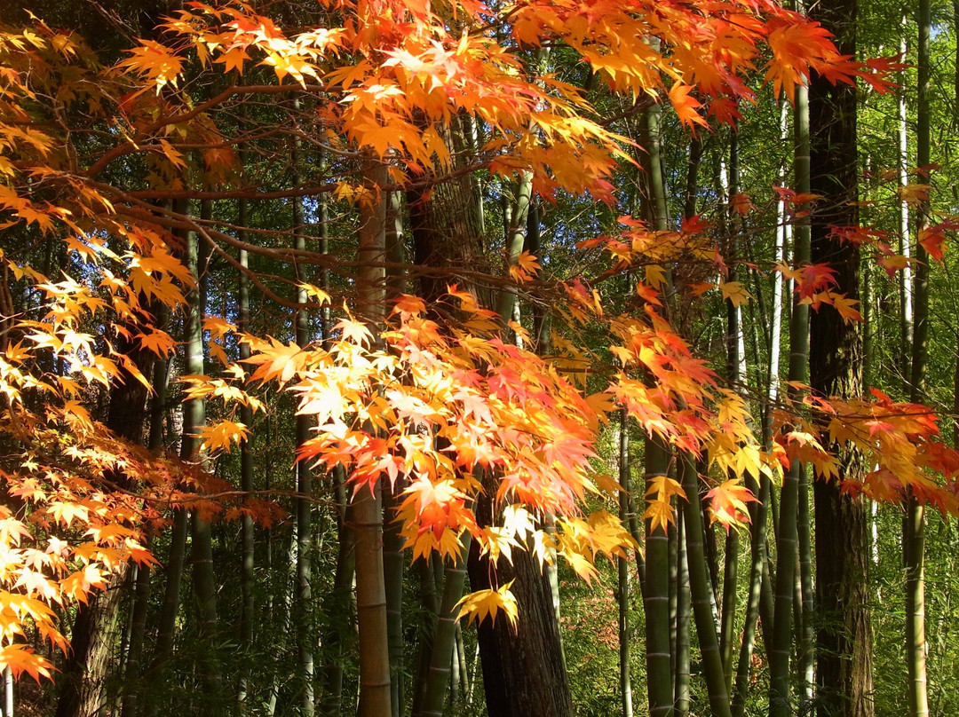 青木村旅游攻略图片