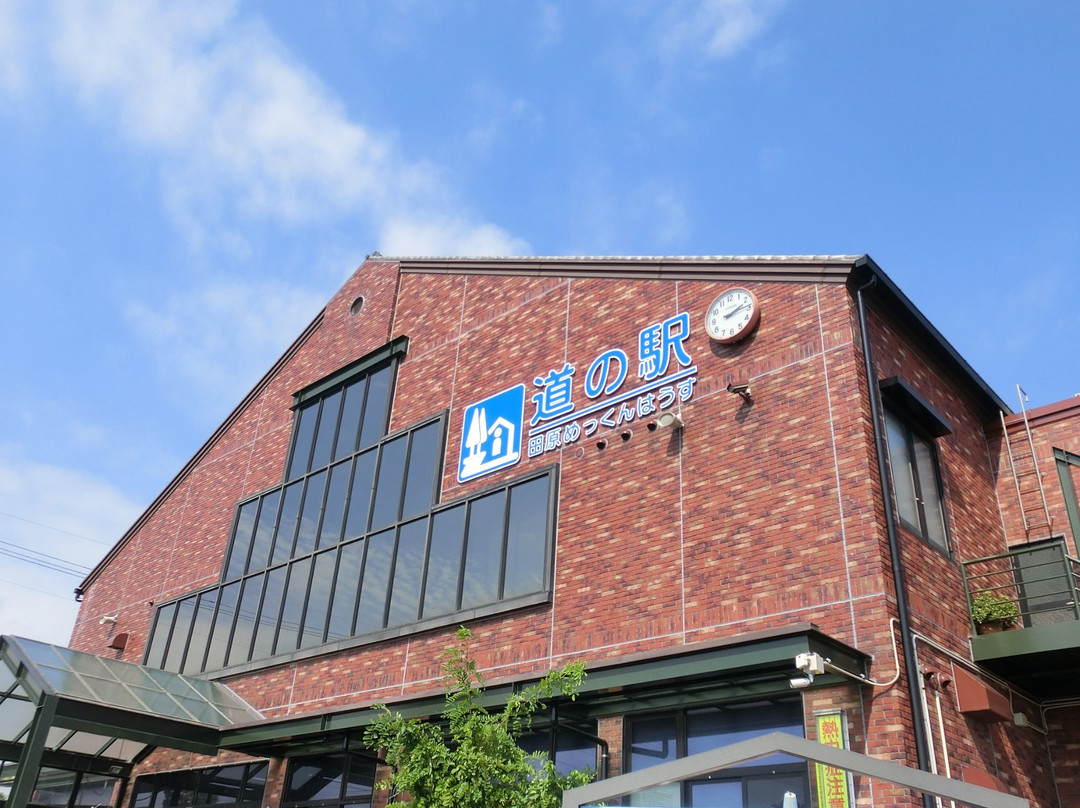 Michi-no-Eki Tahara Mekkun House