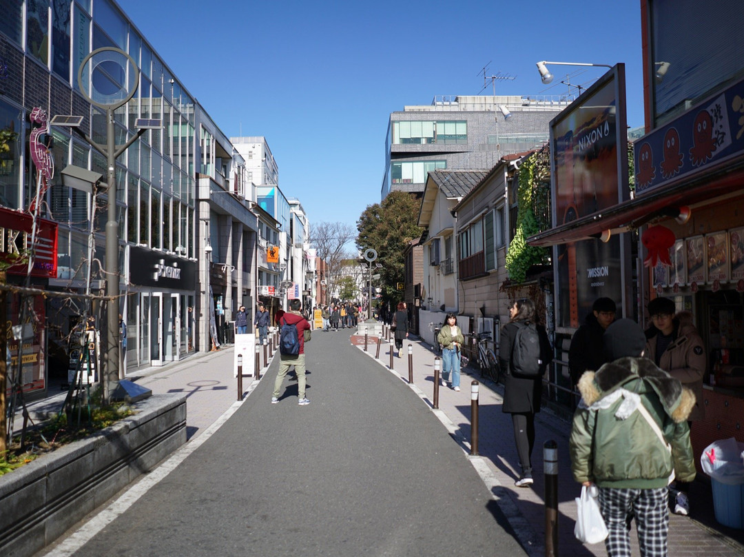 涩谷猫街景点图片