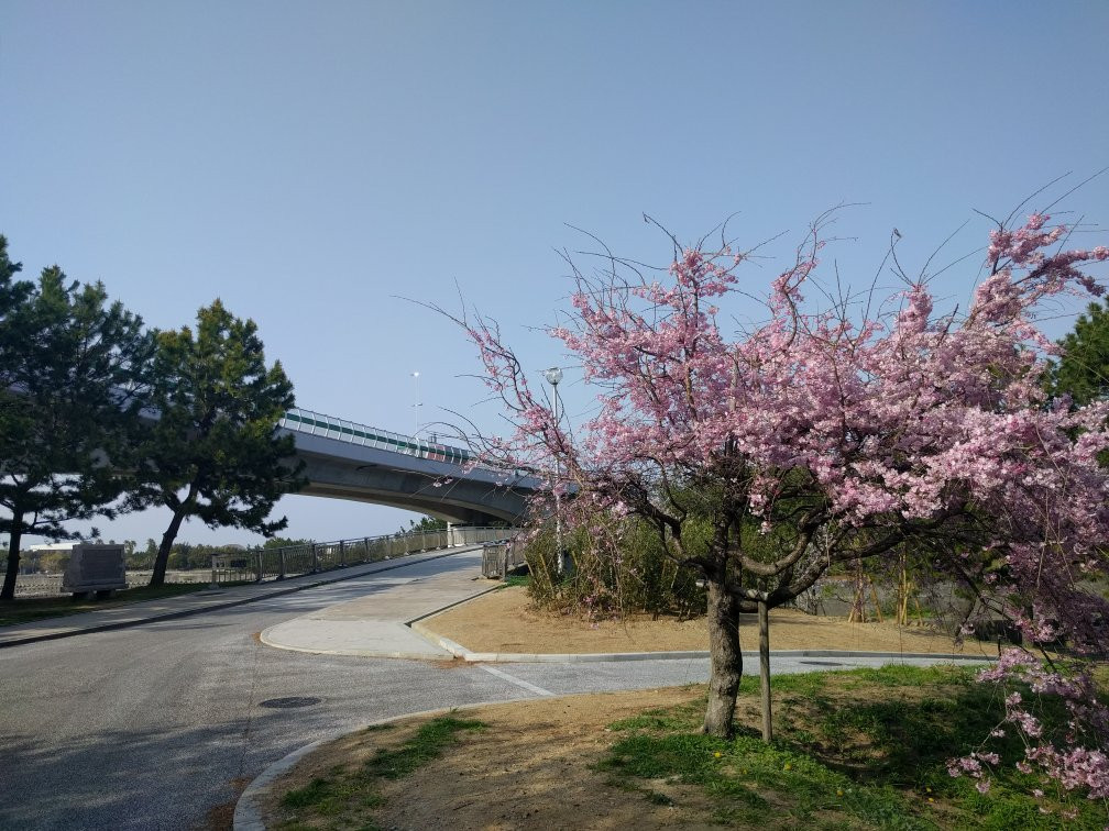 Nishikinohama Beach Park-贝冢市必去景点