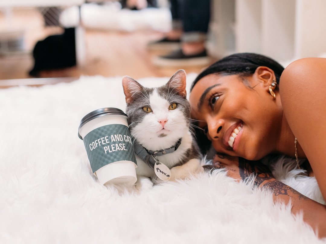 Crumbs & Whiskers-华盛顿特区必去景点