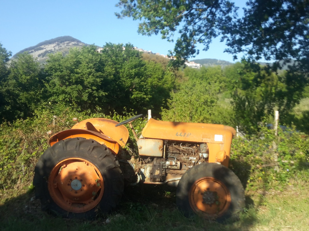La Fattoria Di Casacotta