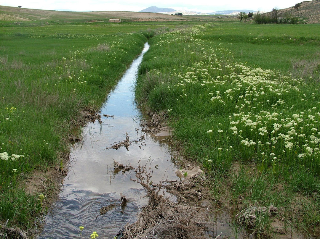 Nacimiento del Rio Guadalquivir景点图片