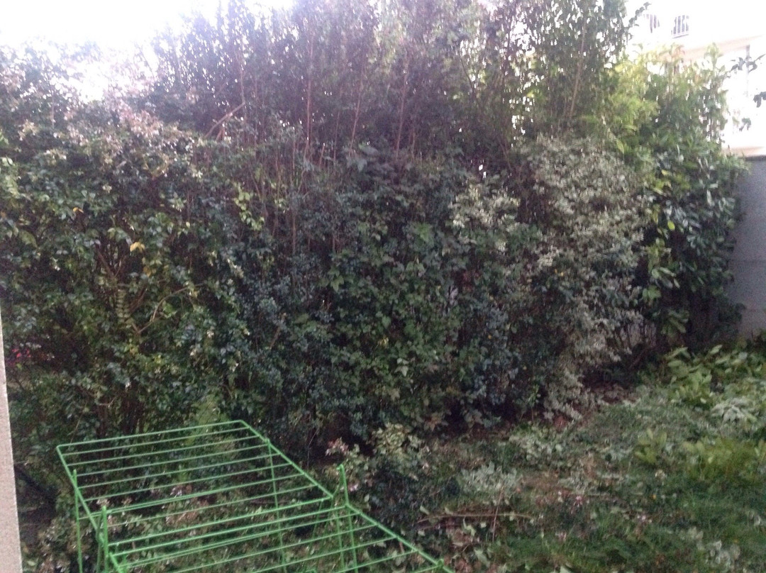 Bretteville Sur Odon旅游攻略图片