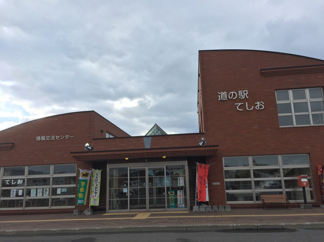 天盐町旅游攻略图片