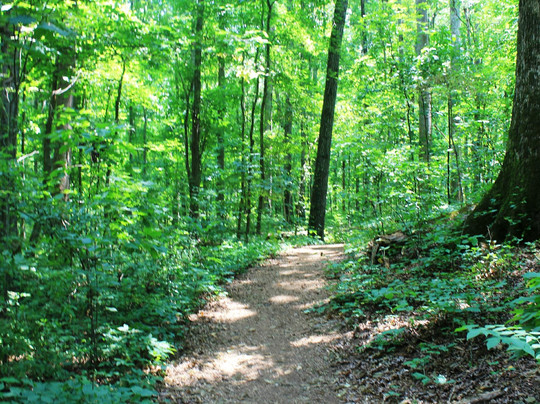 Reynolds Nature Preserve-Morrow必去景点